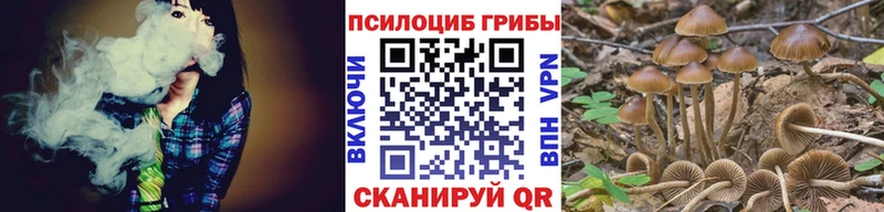 Купить  Копейск  Псилоцибиновые грибы Psilocybine cubensis 